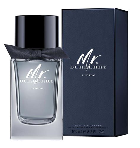 mr burberry indigo香水|Burberry indigo for men.